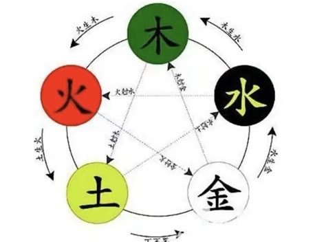 榆五行|榆字的五行属性